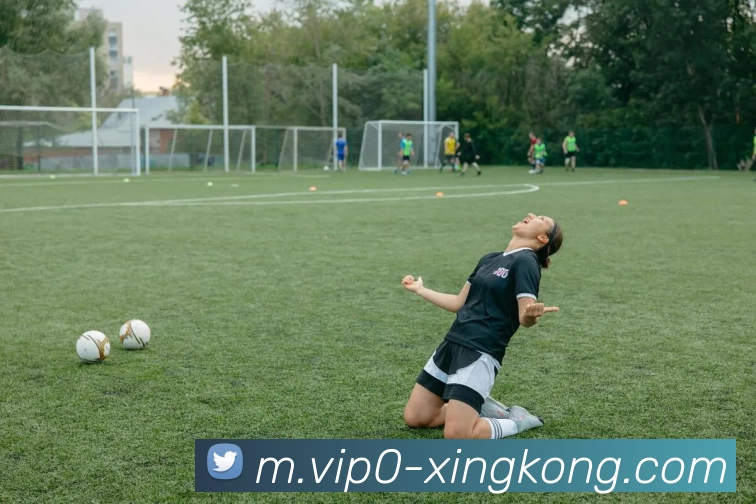 星空体育APP 高清赛事图